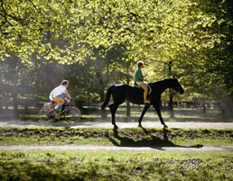 Deer Park by Jorgen Schytte-VisitDenmark